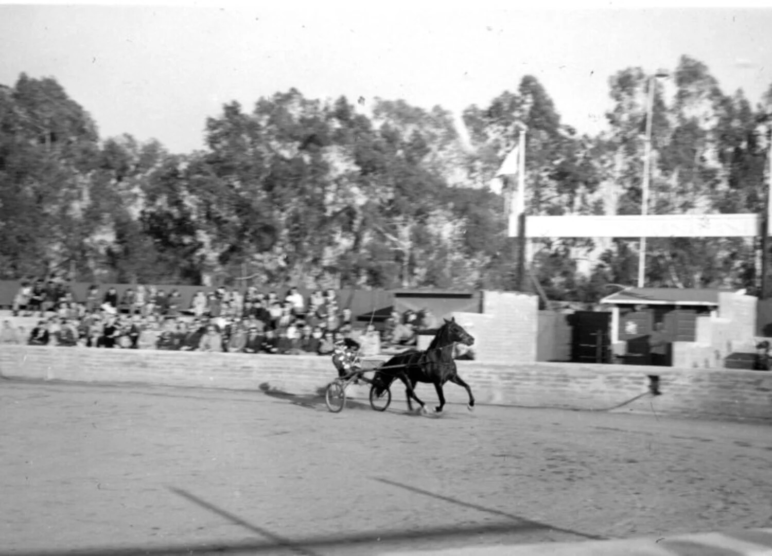 Harness Racing Scene, Sulky Race with Spectators, Personal Snapshot from Naval Officer's Collection