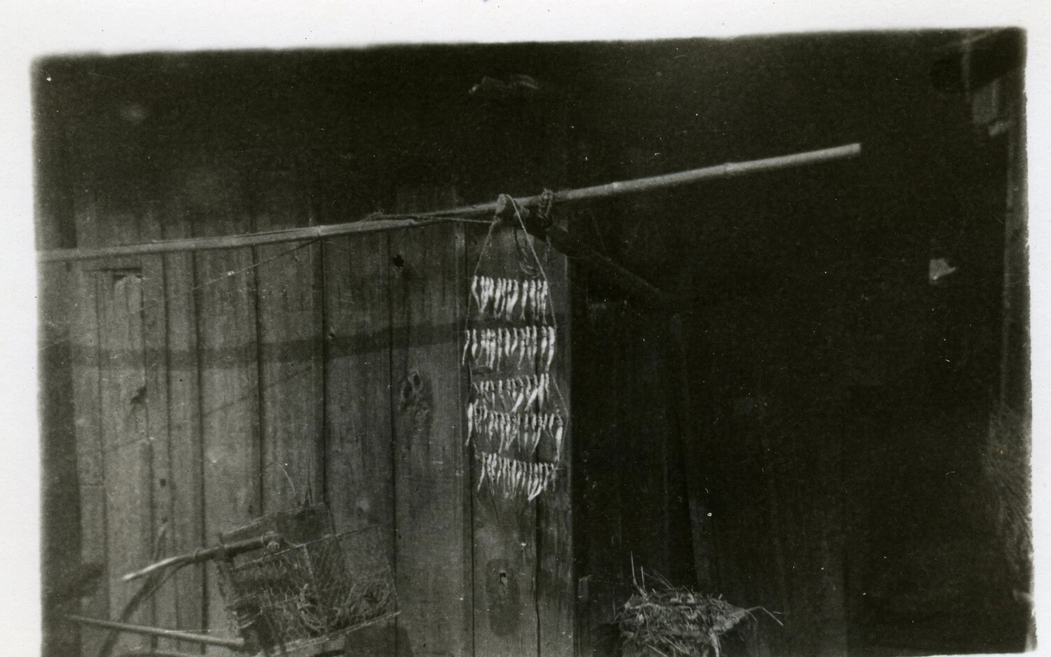 Drying Fish at a Japanese Dwelling, Allied Occupation of Japan, Post-WWII