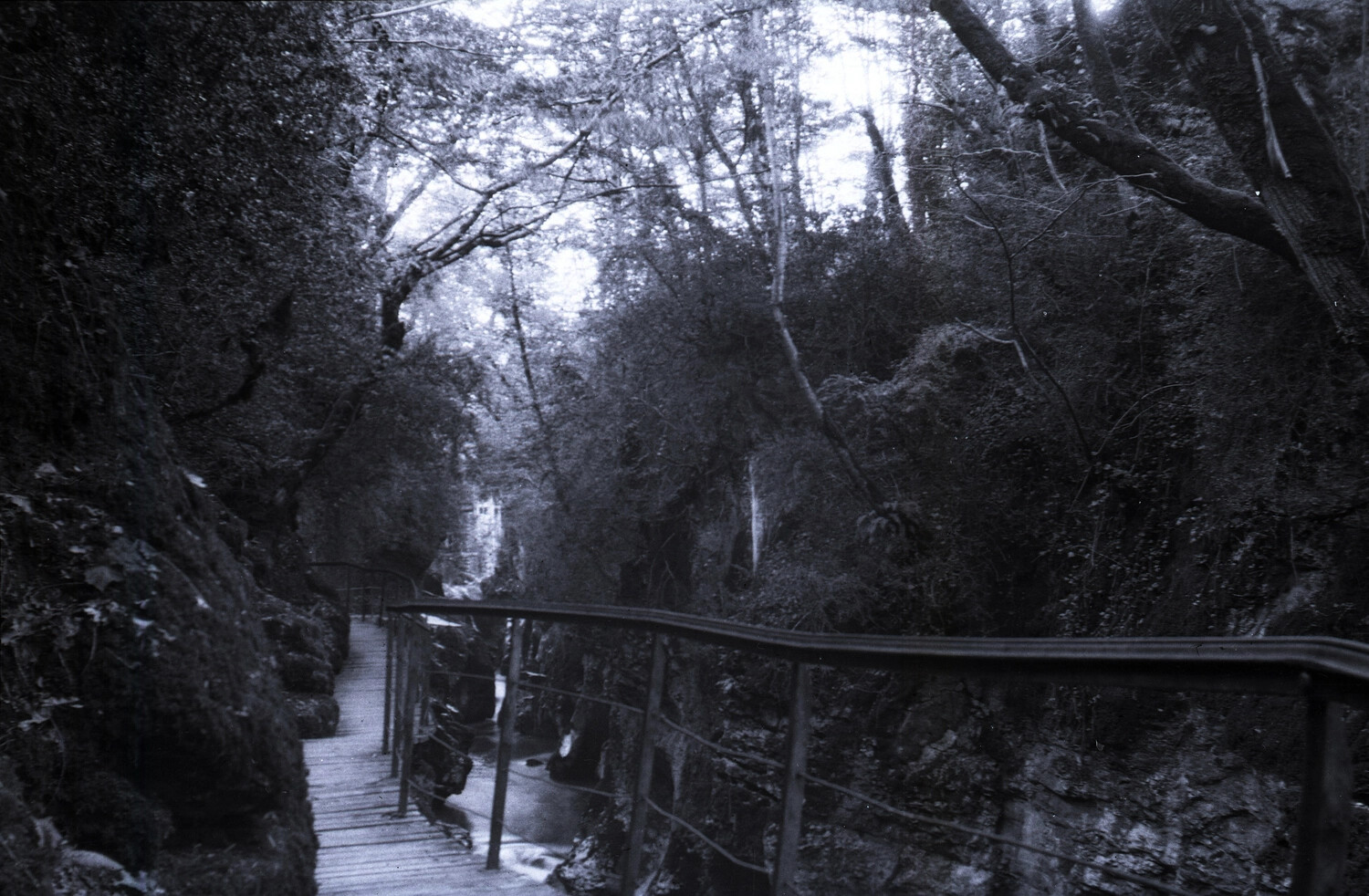 Wooden Boardwalk Through a Forested Gorge, France, World War I Era