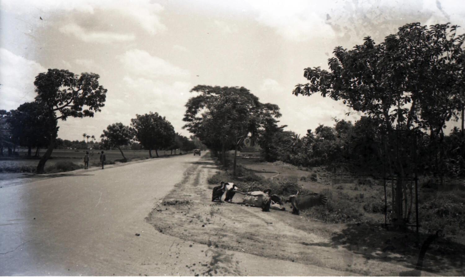 Roadside Scene with Carrion Birds, China-Burma-India Theater, World War II