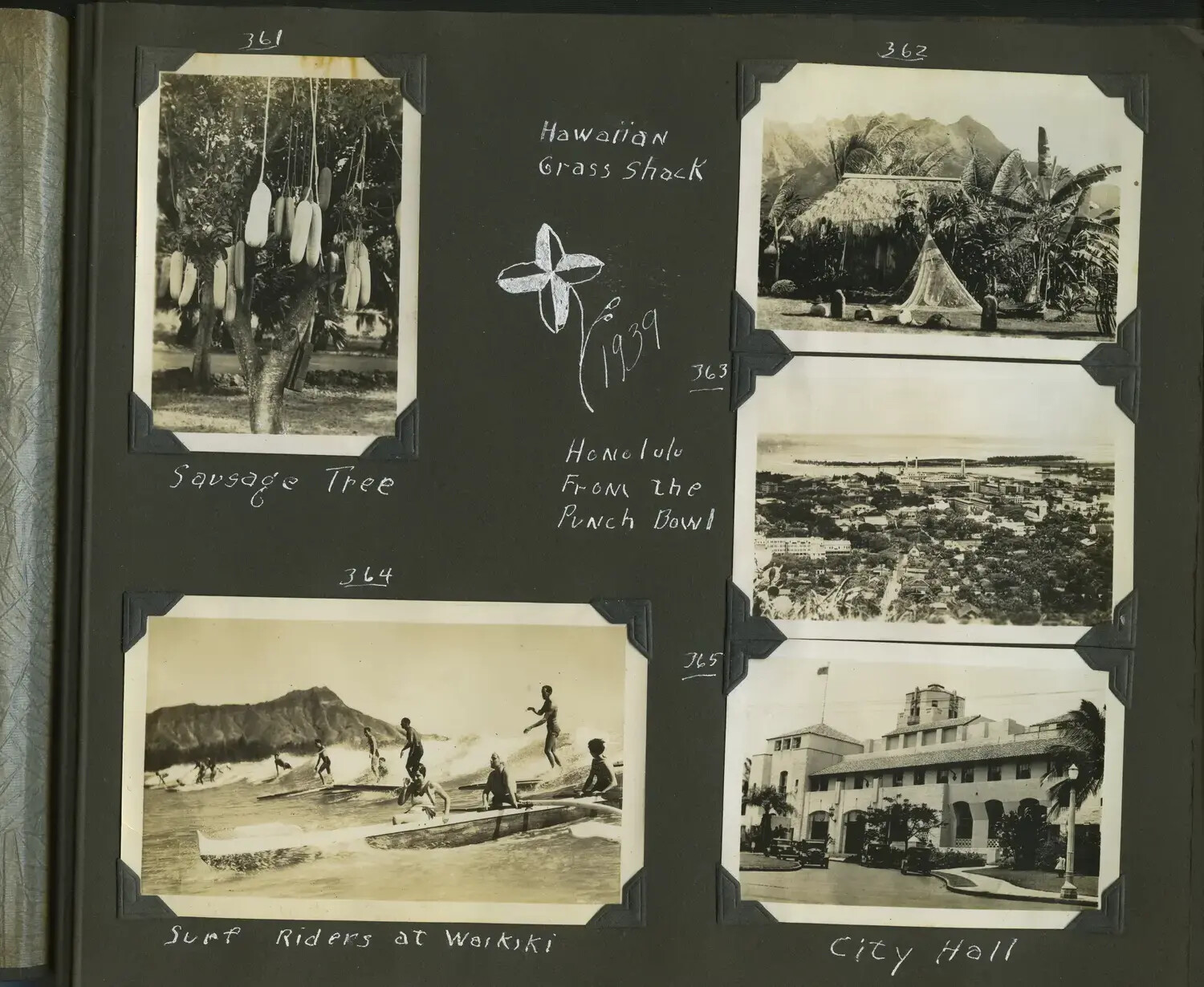 Album Page, Honolulu Botanical and Recreational Views: Sausage Tree, Grass Shack, Punchbowl Panorama, Waikiki Surf Riders, and City Hall, 1939