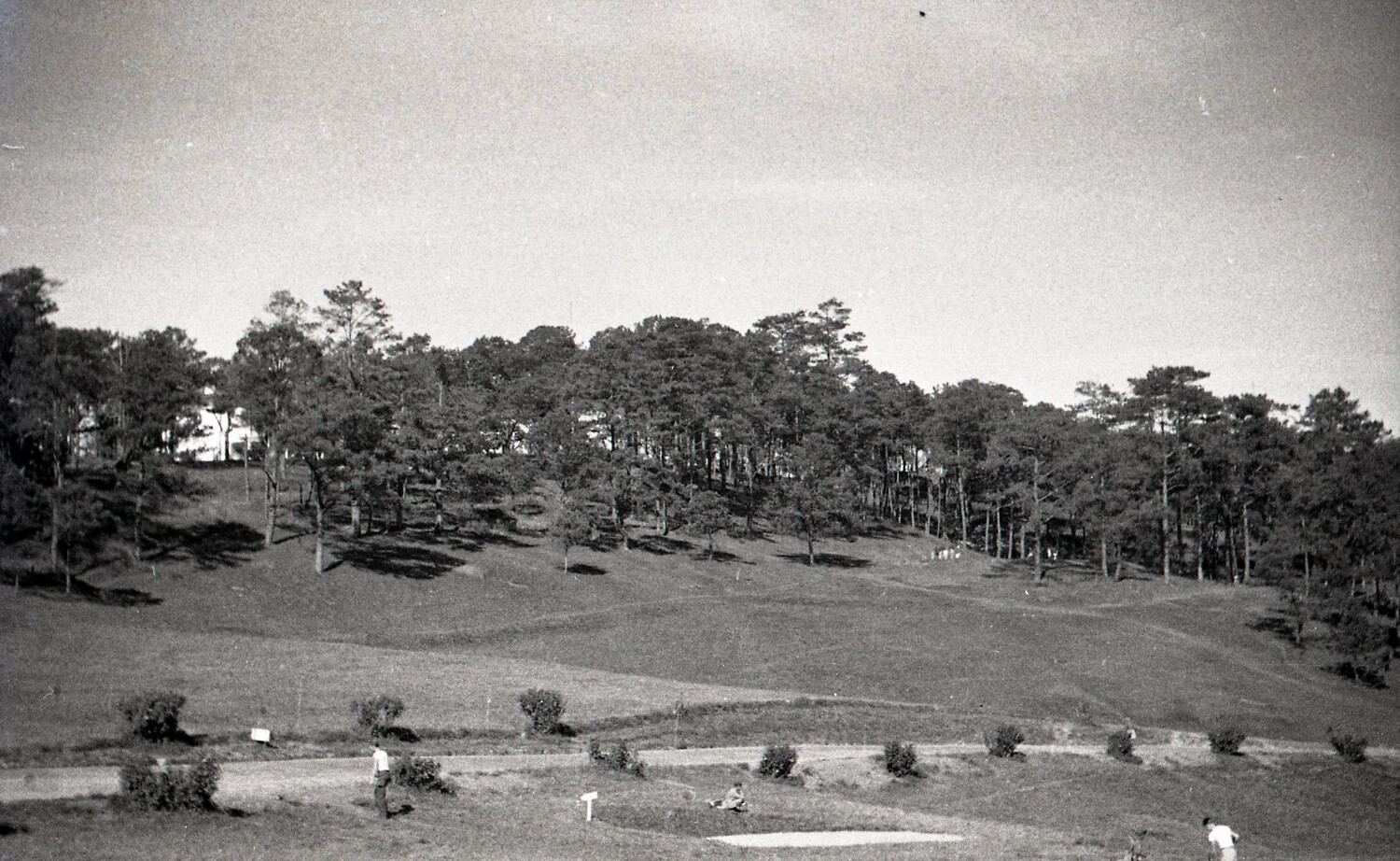 Landscape View of Camp John Hay Grounds with Pine Forest, Baguio, Philippines, WWII Era