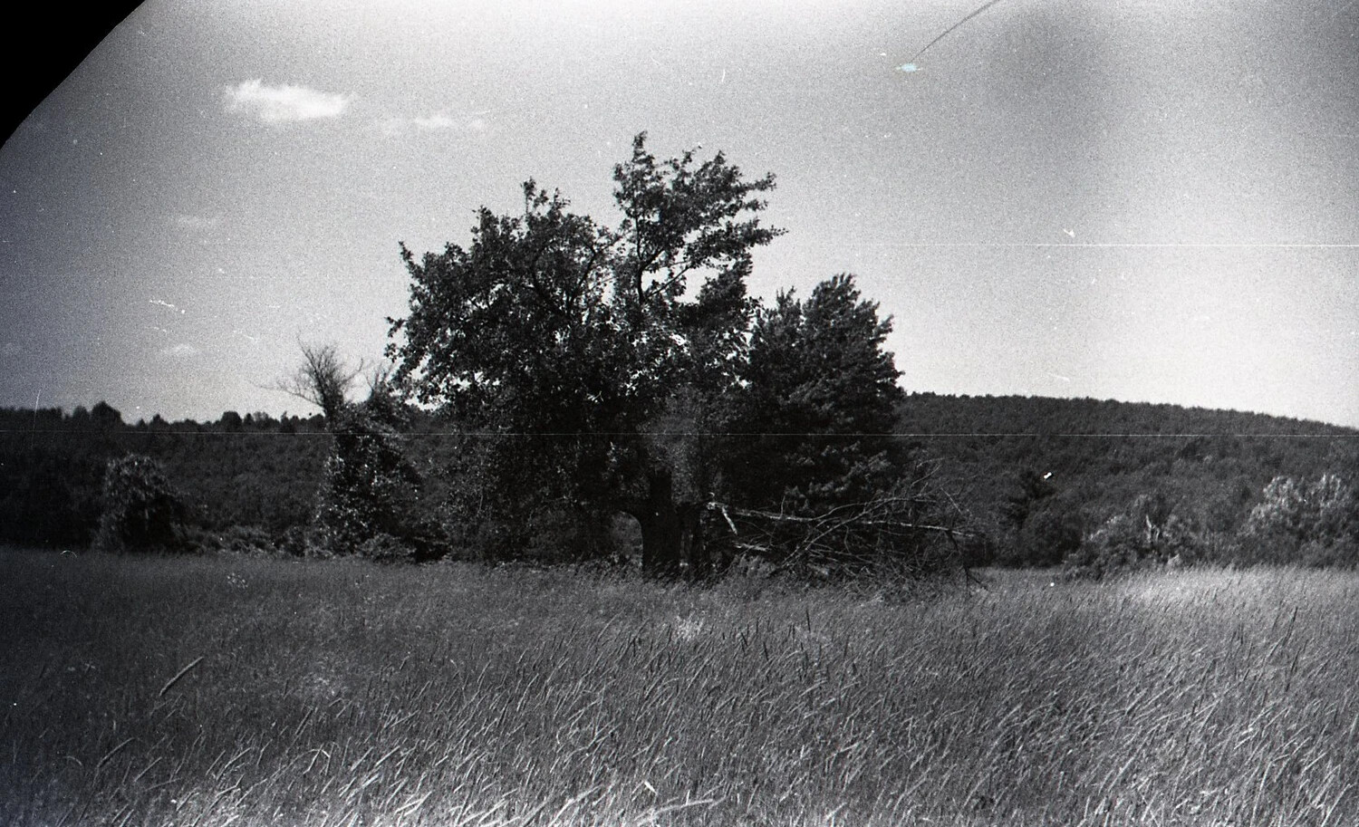 Rural Landscape Near Nashua, New Hampshire, September 1938 - 35mm Negative