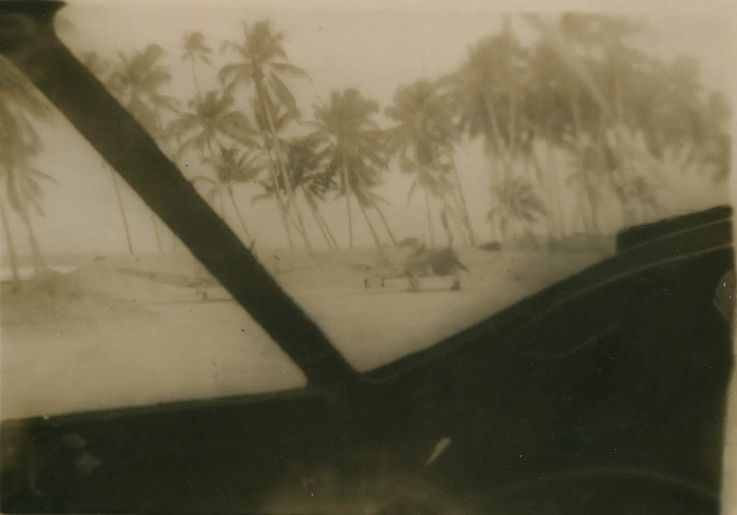 View of a Palm-Lined Tropical Beach Through a Vehicle Windshield