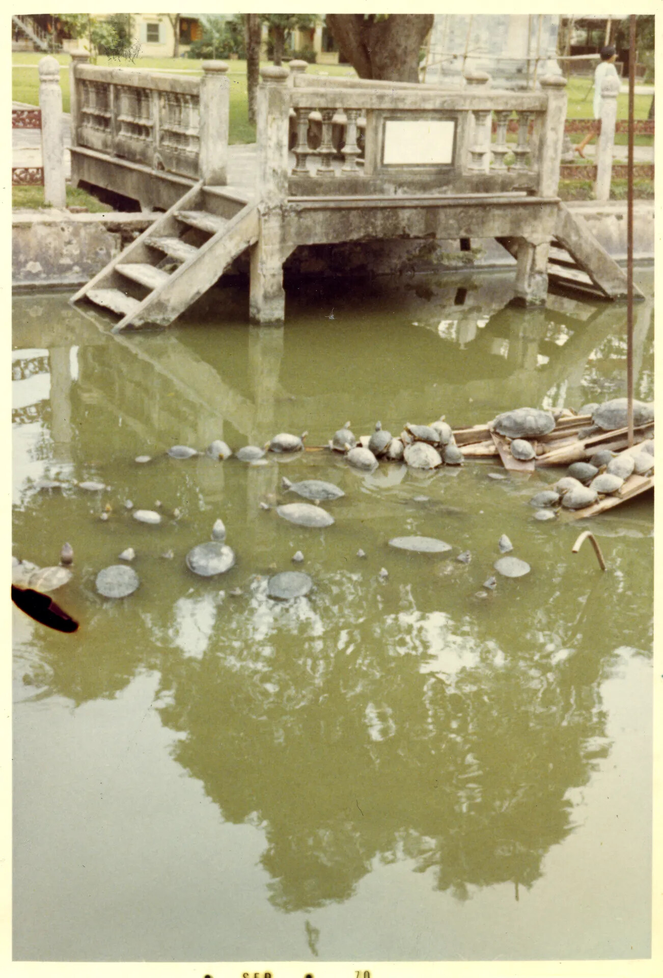 Turtle Pond and Ornamental Stone Bridge, Bangkok Temple/Palace Grounds