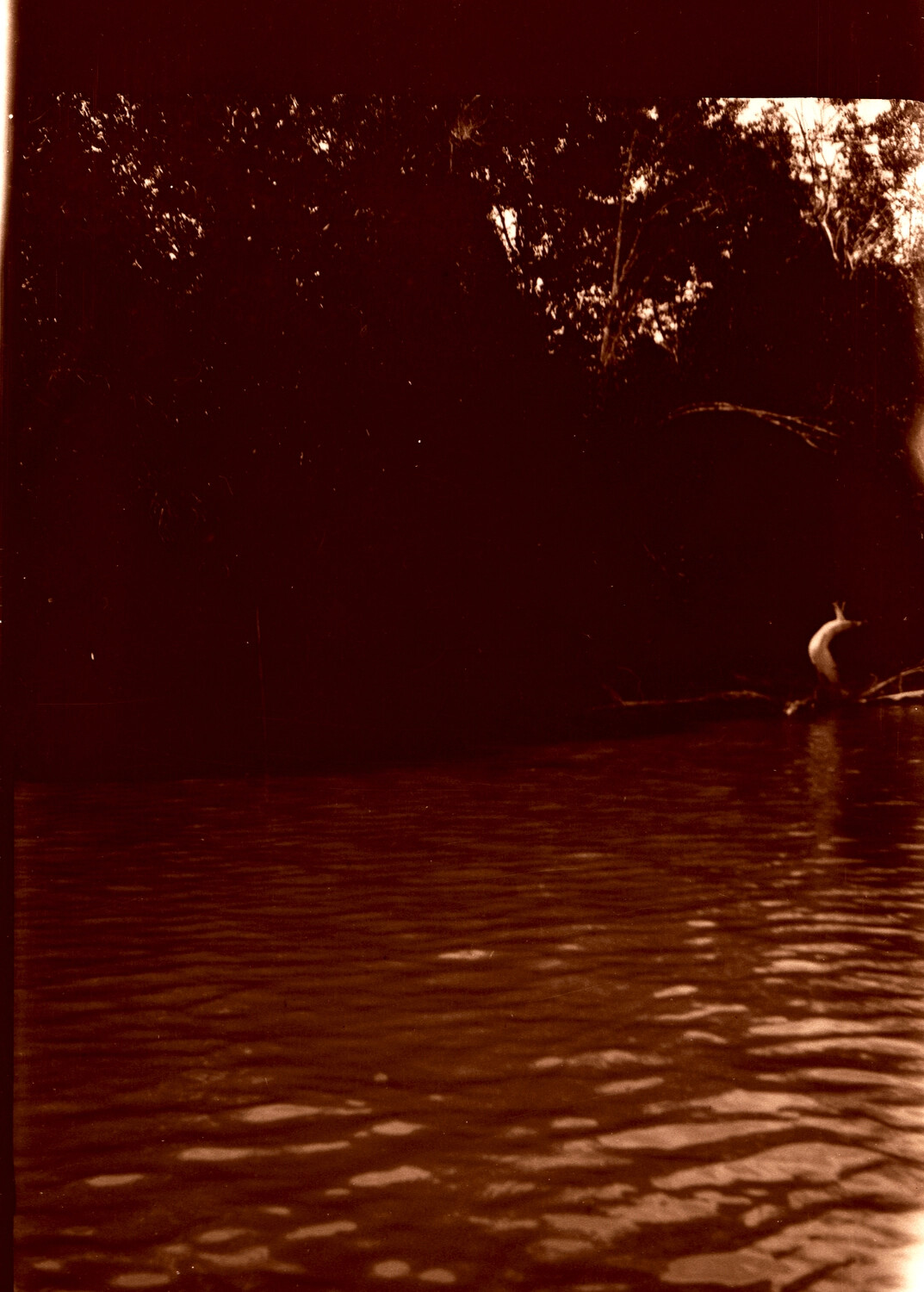 Riverine Landscape with Wading Bird, China/Pacific Station, 1930s