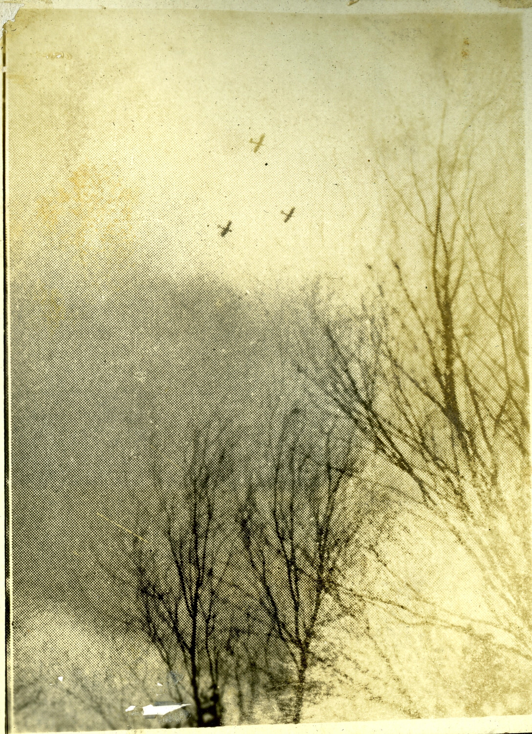 Newspaper/Magazine Clipping: Aircraft in Formation Over Bare Trees