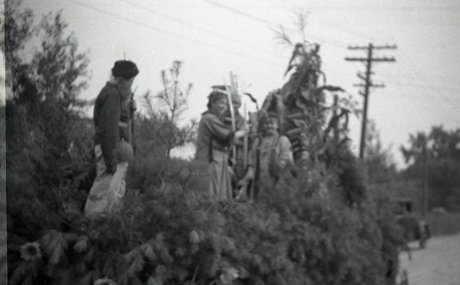 Costumed Figures at Community Event, Pelham, New Hampshire, 1943