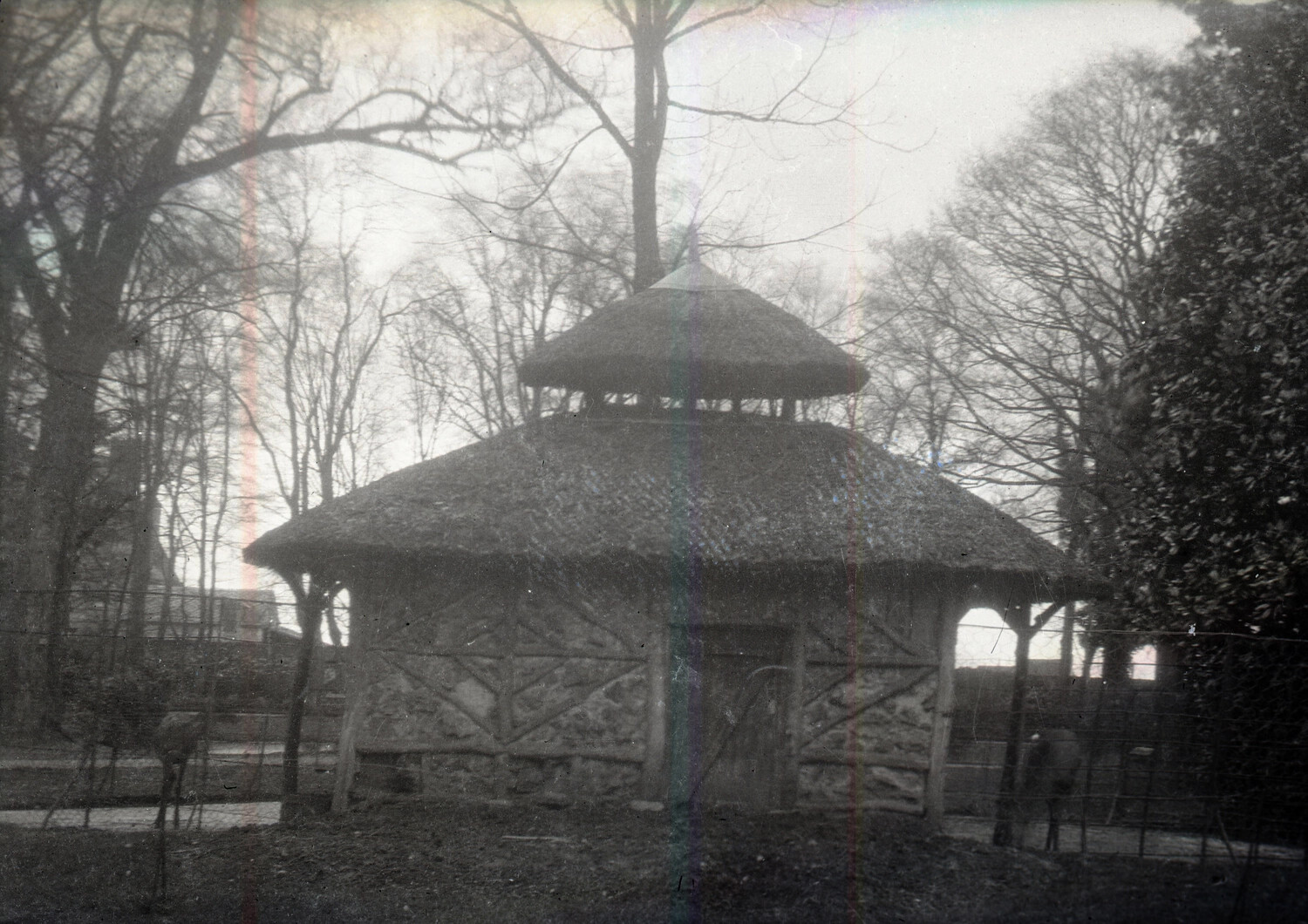 Thatched-Roof Garden Folly or Aviary with Bird, WWI-Era Negative (France or England)