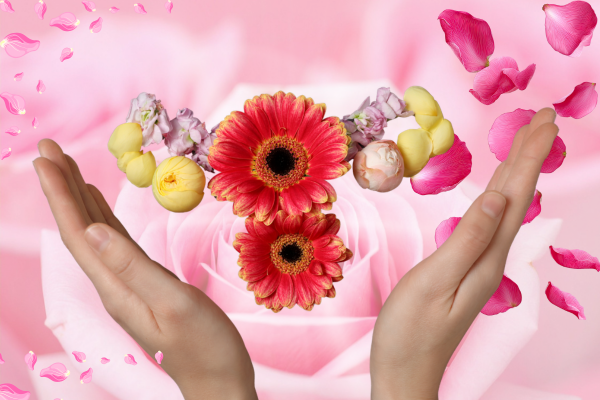 om kraften i Klimakterie fasen