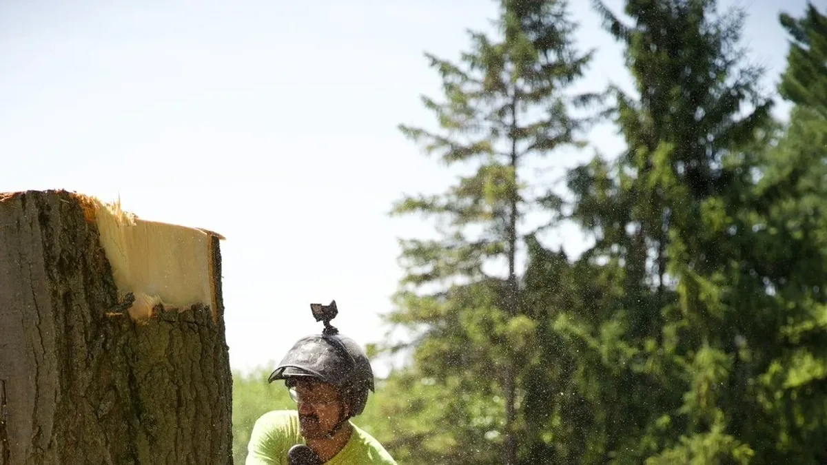 Ultimate Cut Tree Service crew removing a large tree in Midland, MI