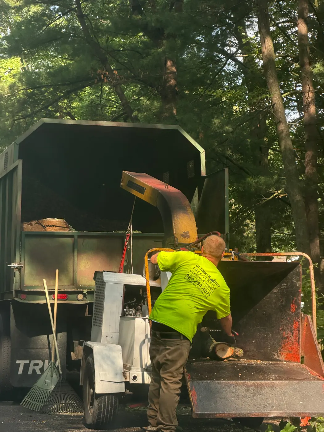 Tree service crew operating wood chipper during residential removal