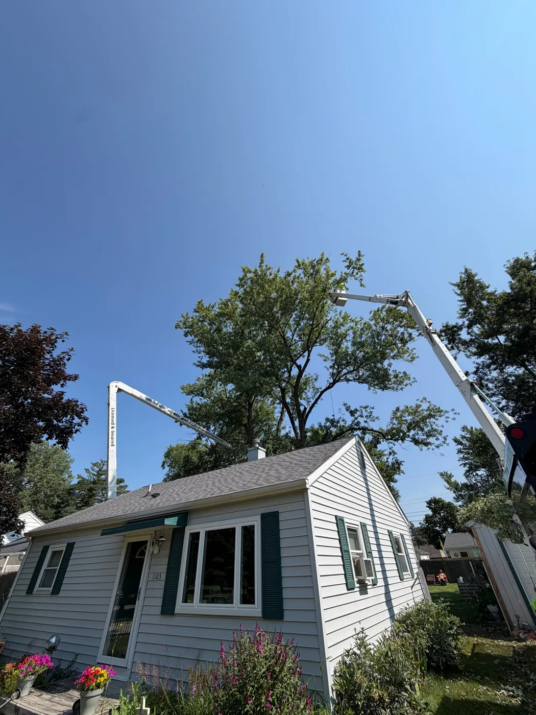 Tree trimming work near a residential house
