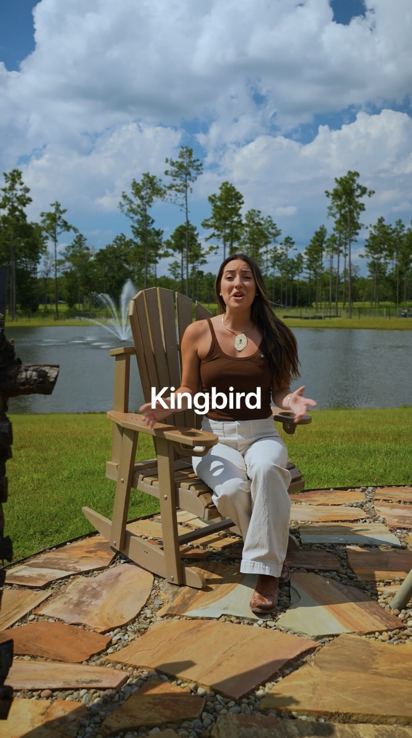 Kingbird ad