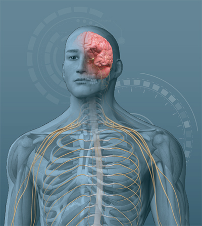 brain health products