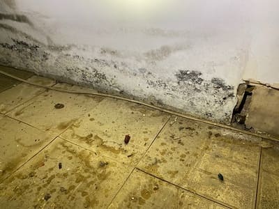 Asbestos Testing in Northern Virginia
