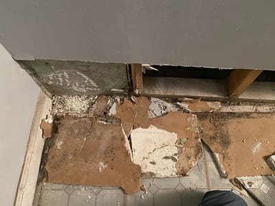 Mold testing in Montgomery county