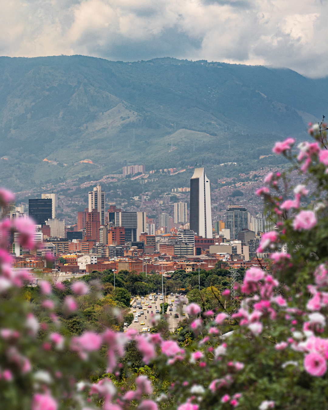 Sala en Medellin con cortina Lumicort