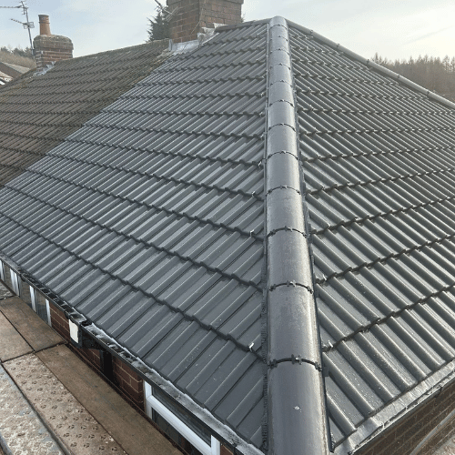 Recent roof project