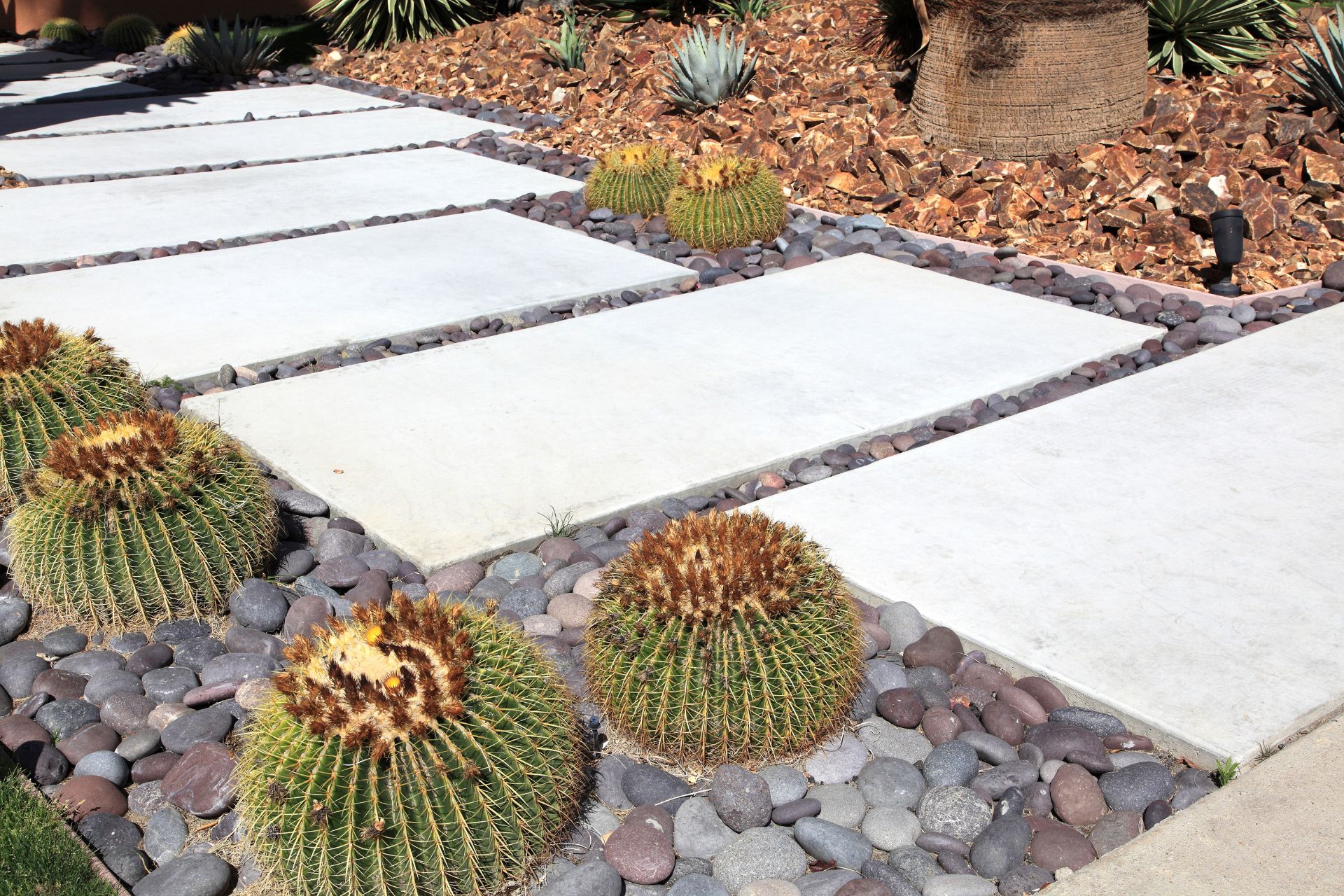  Xeriscaping