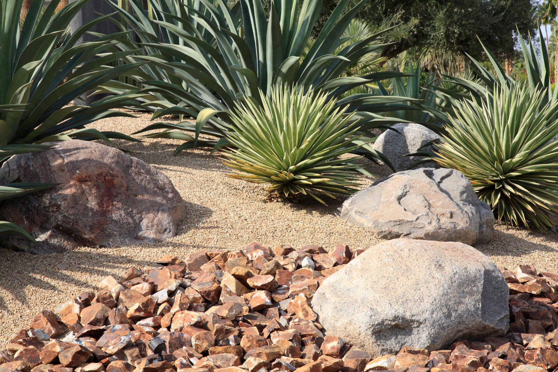  Landscape Design
