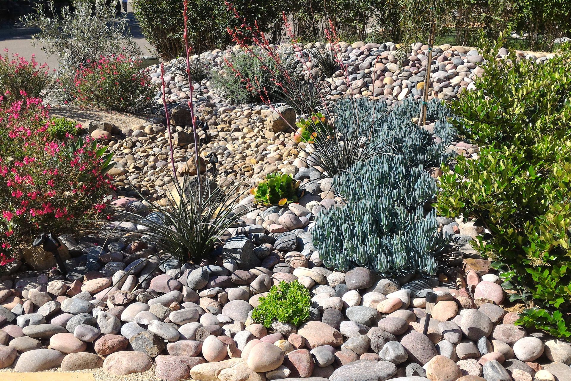 Xeriscaping in Saint George