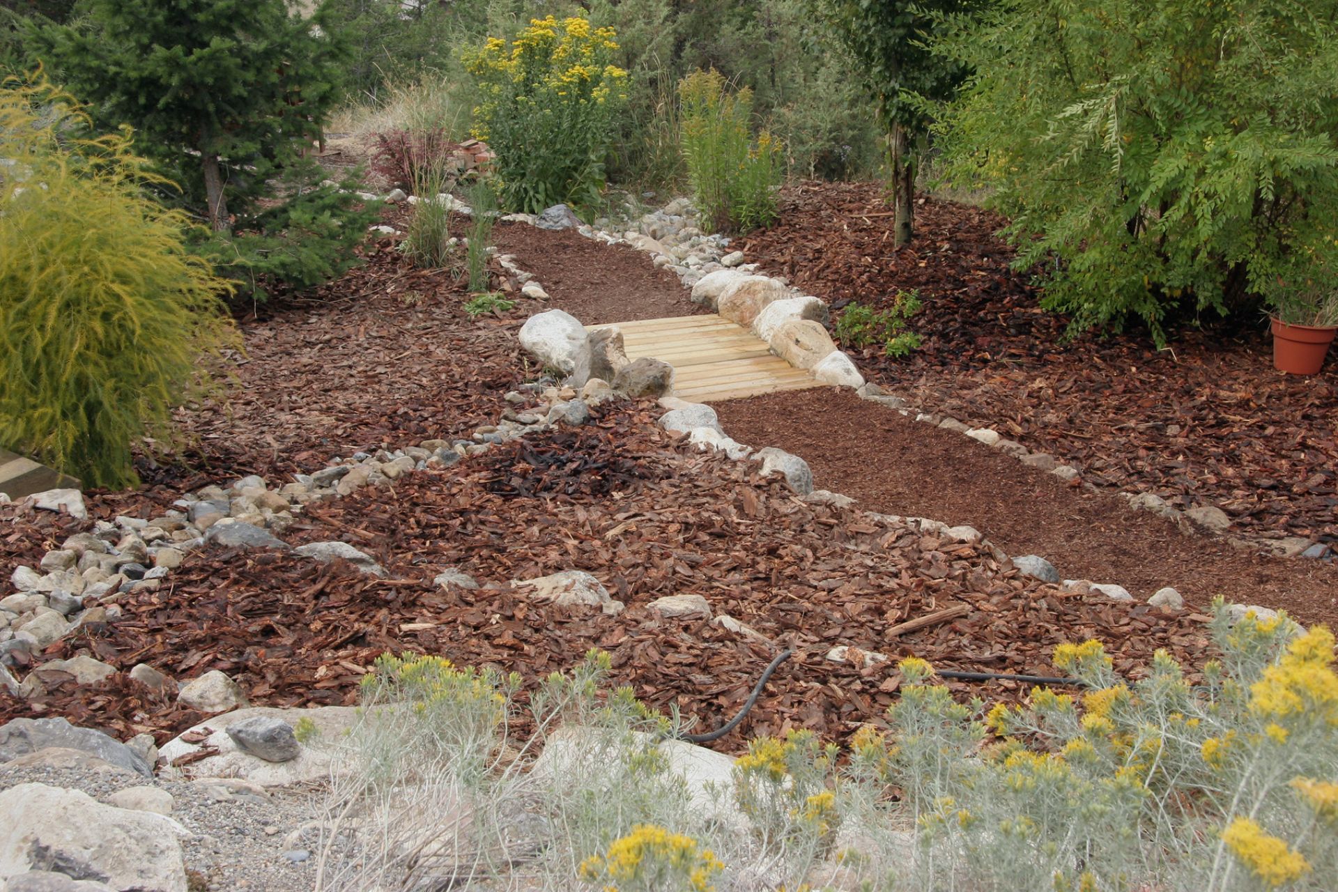  Xeriscaping