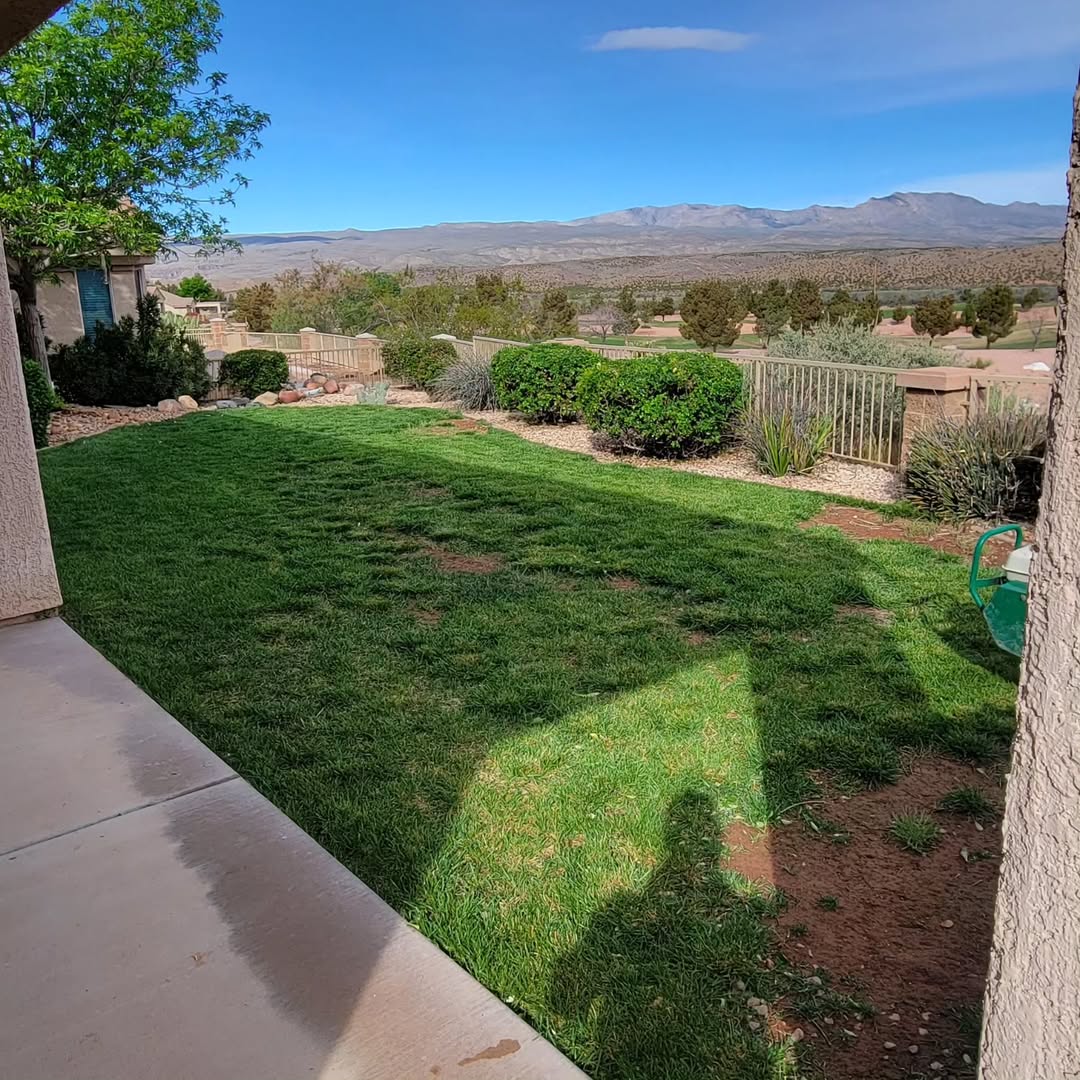 Artificial turf Saint George