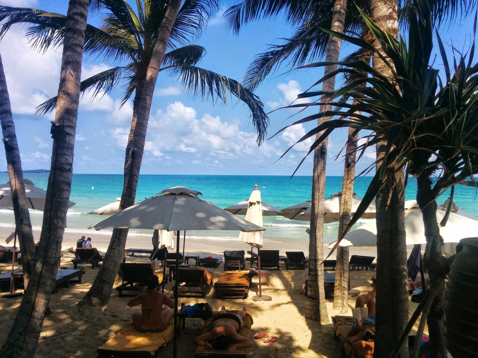 Palm trees and white sand beach on Koh Samui