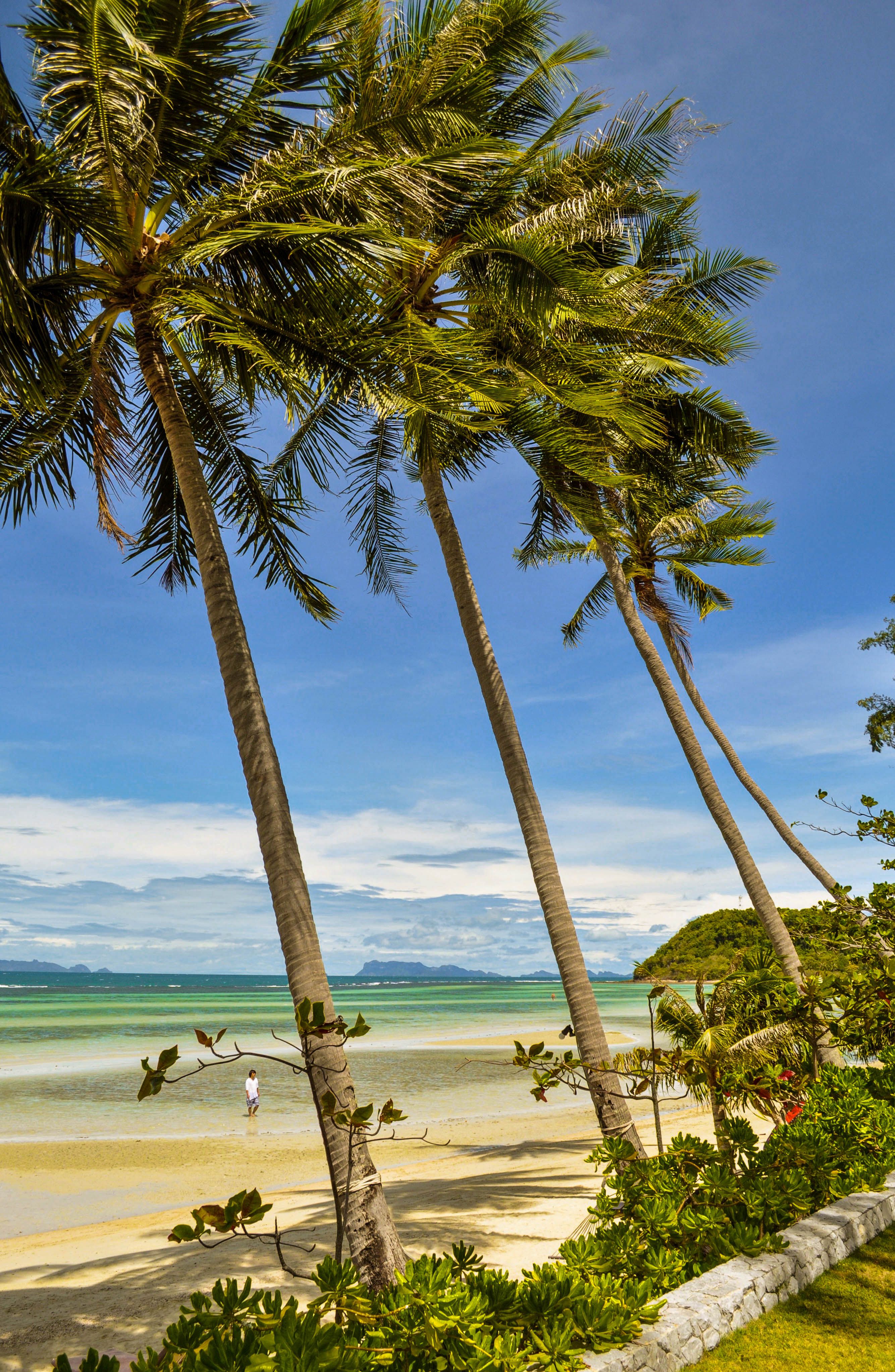 Koh Samui beach and turquoise sea