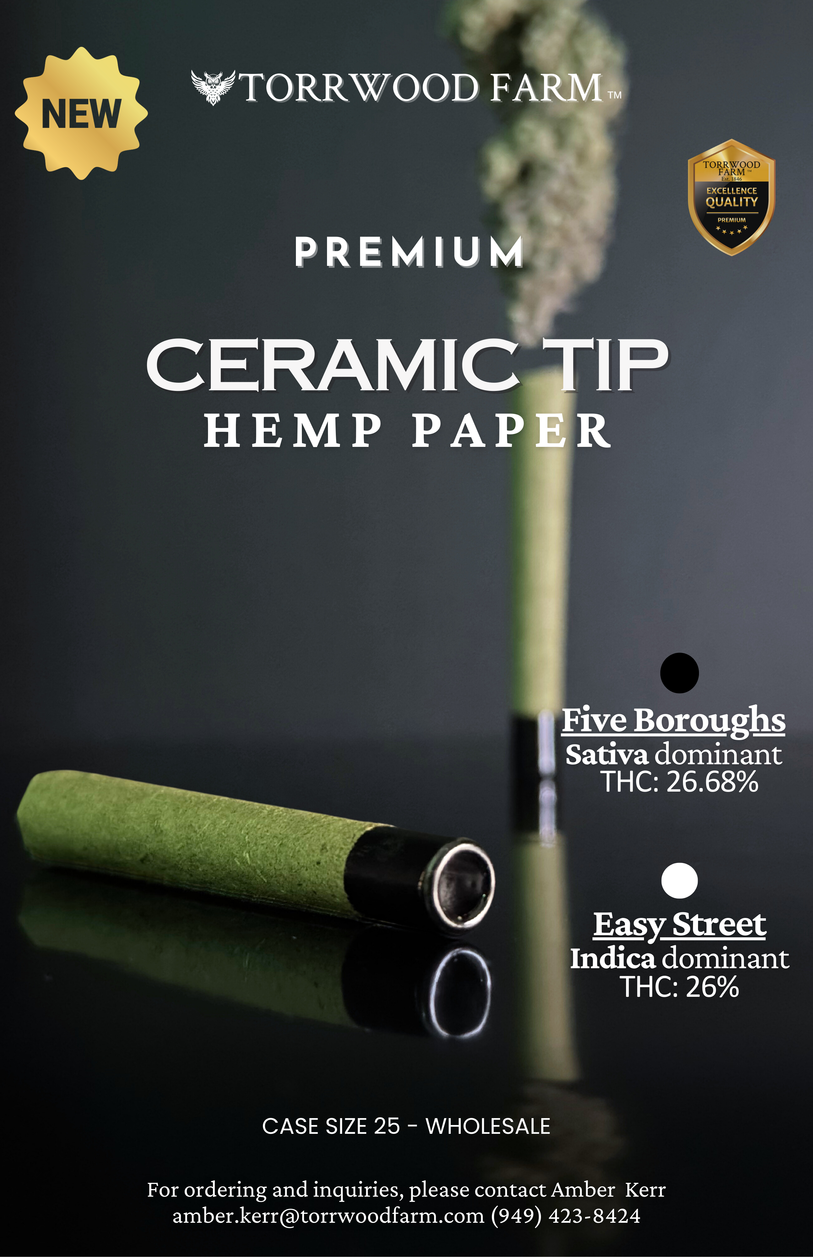 Ceramic Tip