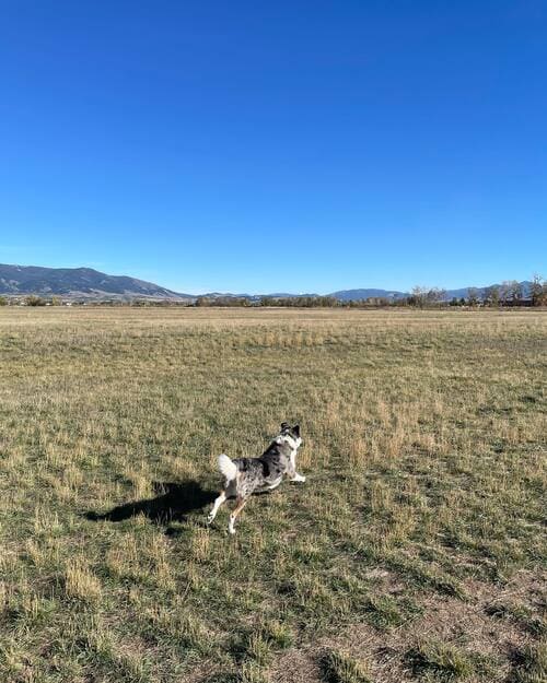 Tile & Construction Services in Fullerton