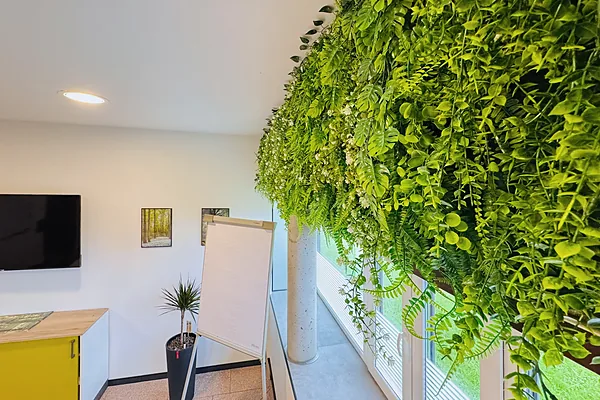Pflanzenwand über der Fensterfront im Besprechungsraum