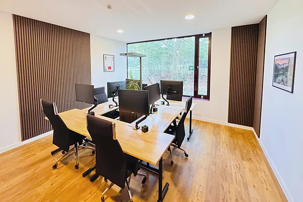 Coworking-Raum mit Akustikpaneelen und Fenster zum Park