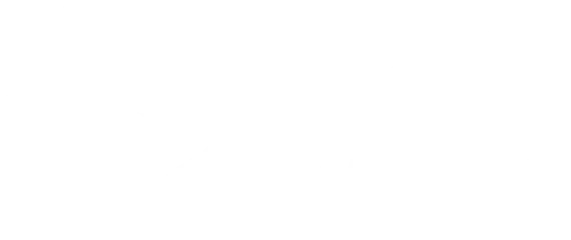 Texas Bin Works logo