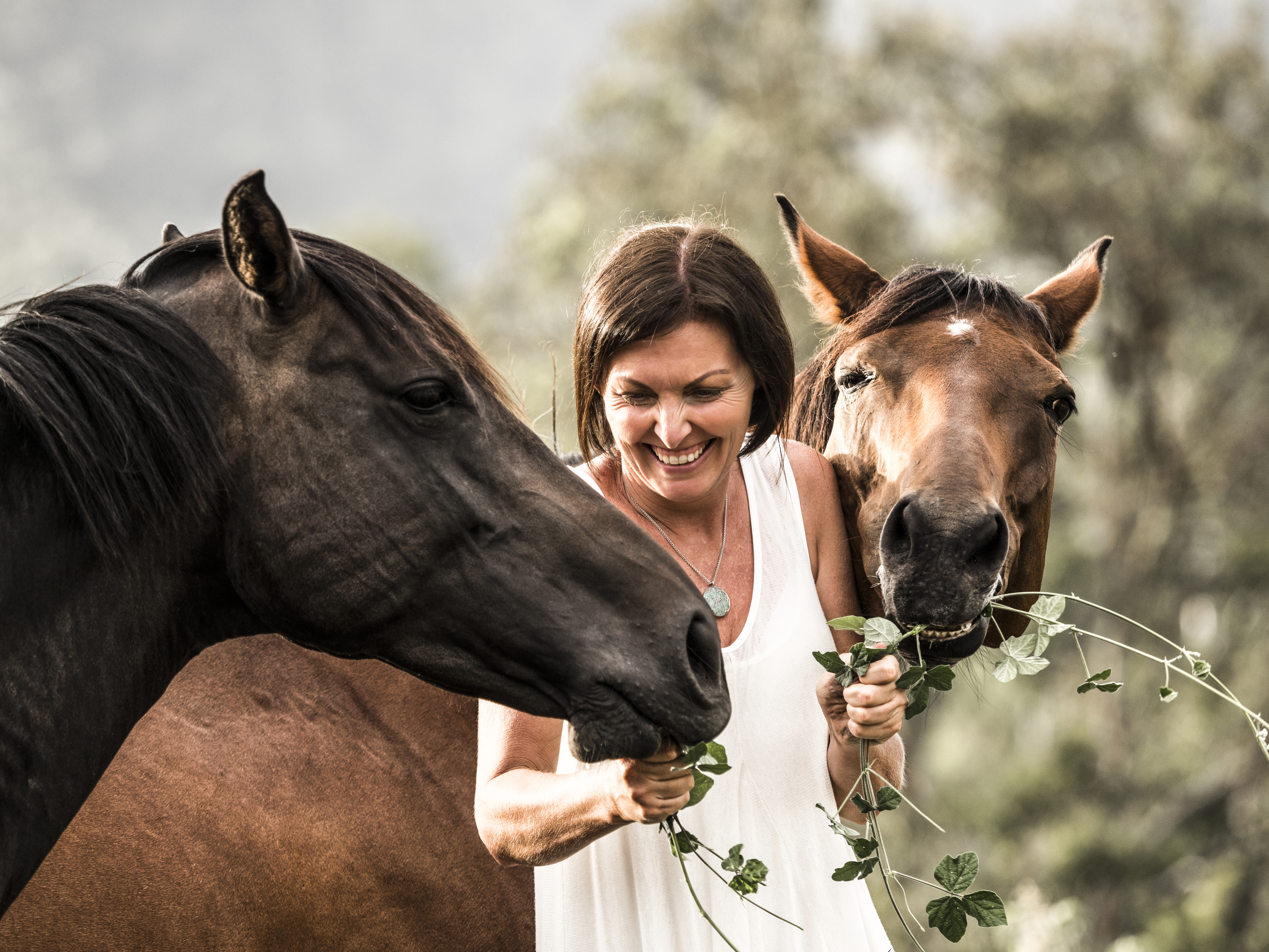 Trauma Informed Coach