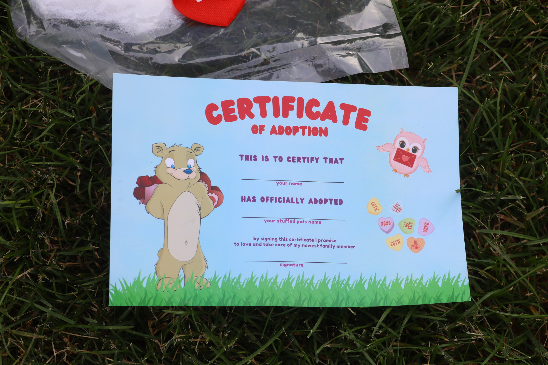 O’Legacy Bears Certificate of Adoption