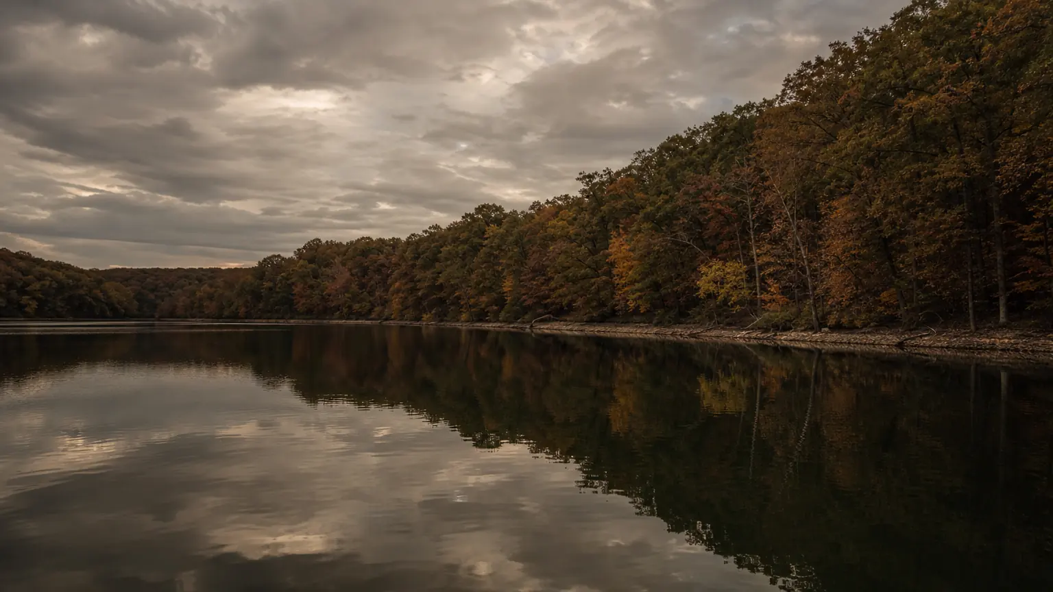 Taylorsville Lake with a wooded shoreline in autumn