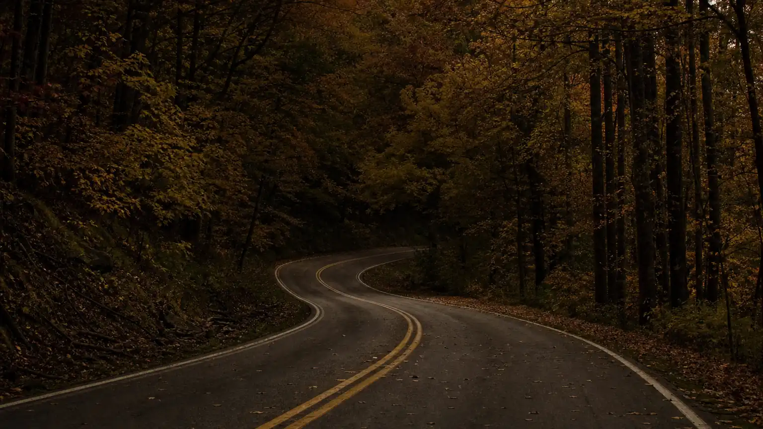 Wooded hills and a two-lane road in Bullitt County