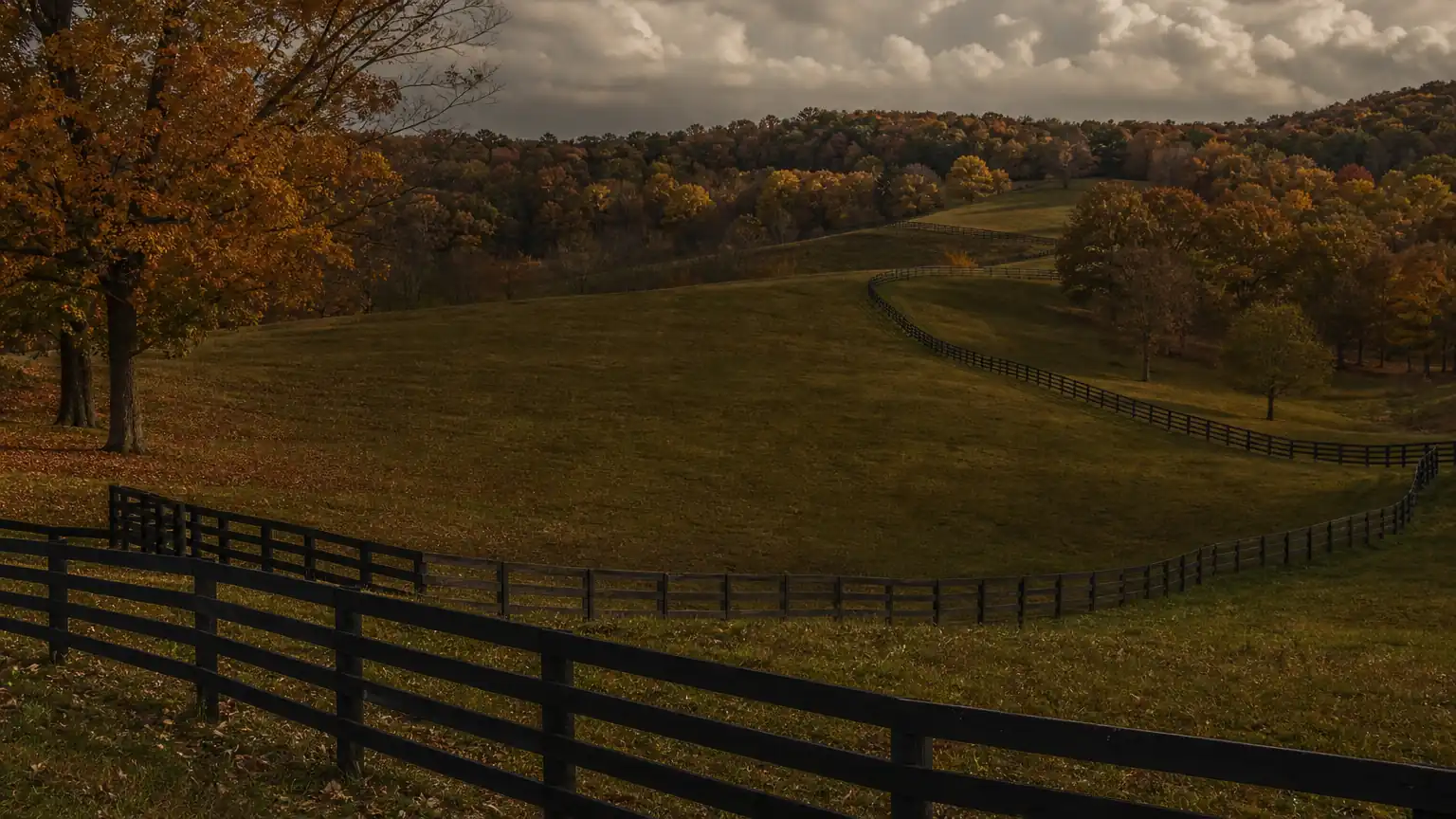 Rolling pasture and board fences in Oldham County