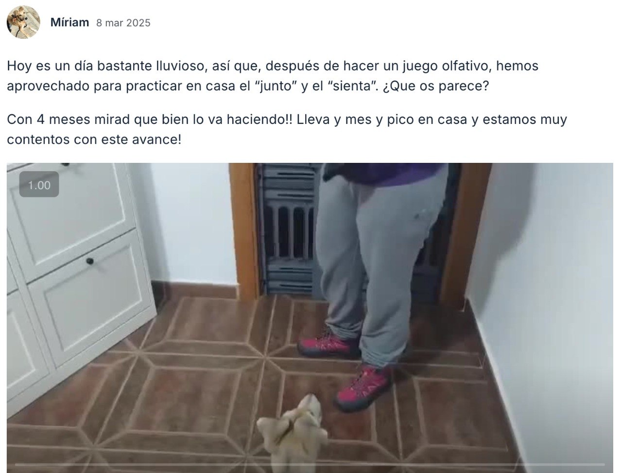 Testimonio