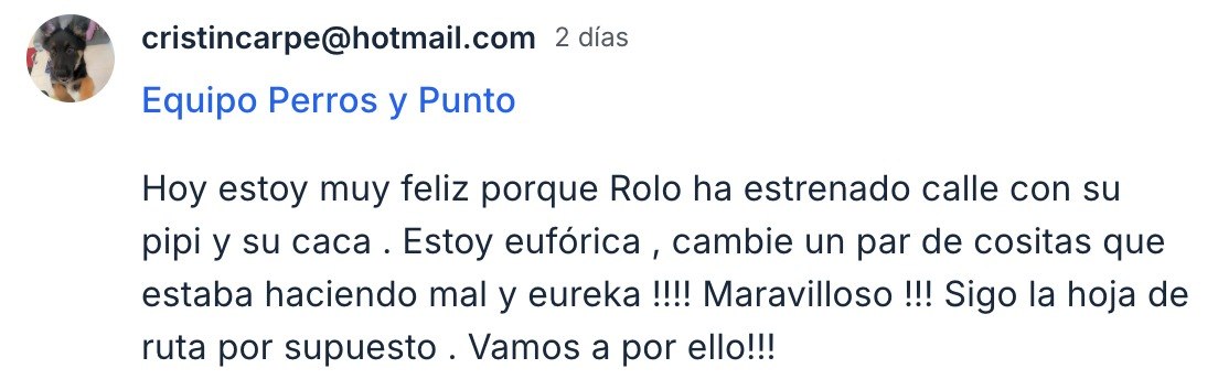 Testimonio