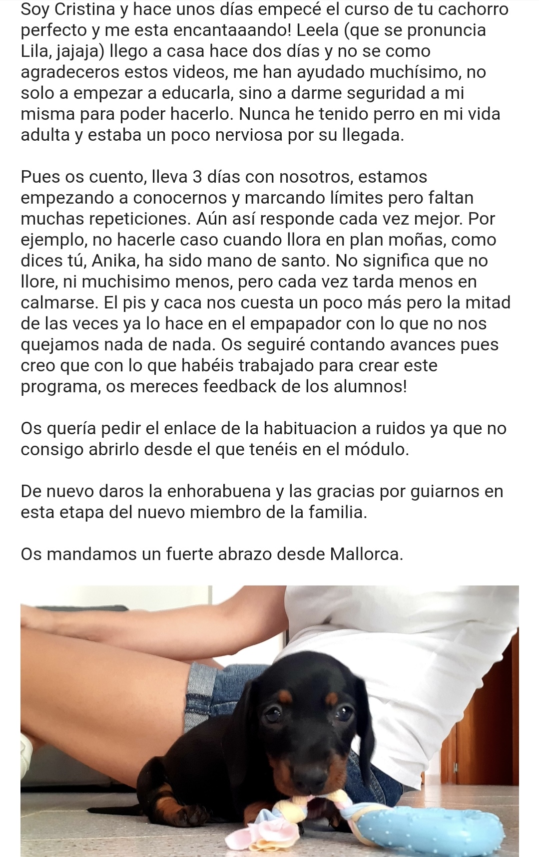 Testimonio