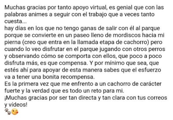 Testimonio