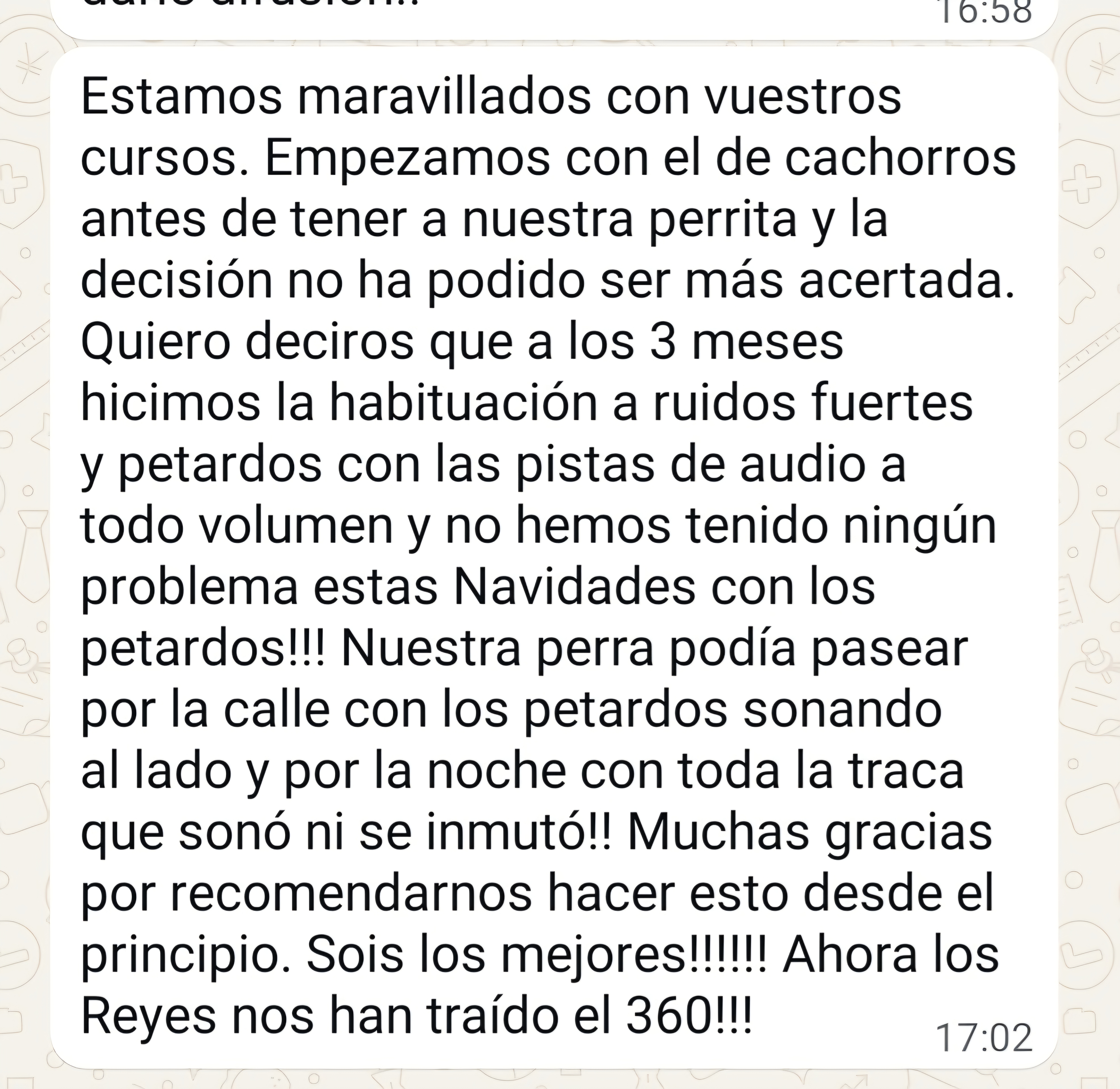 Testimonio alumno 5