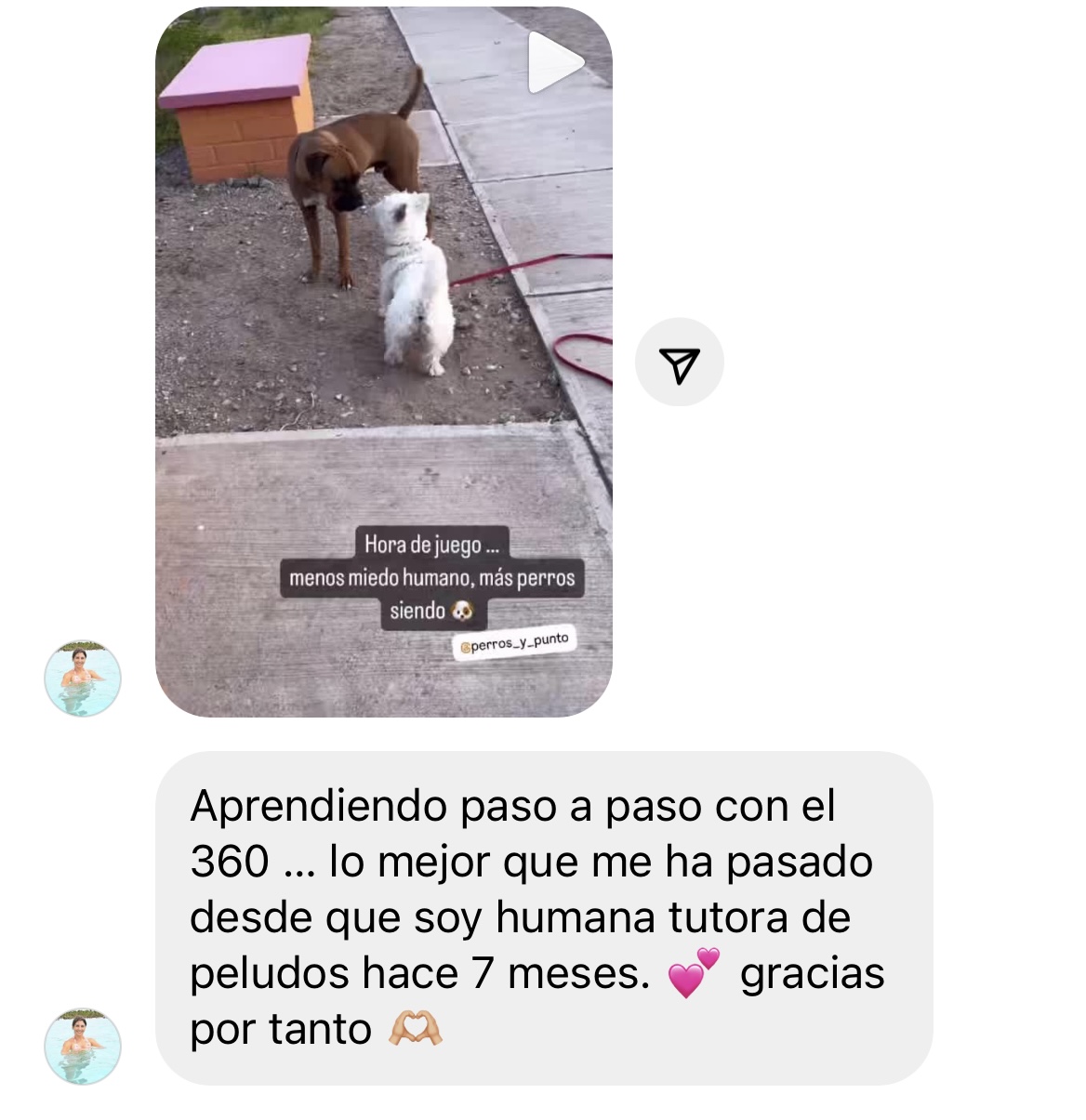 Testimonio alumno 3