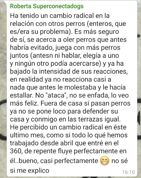 Testimonio alumno 1