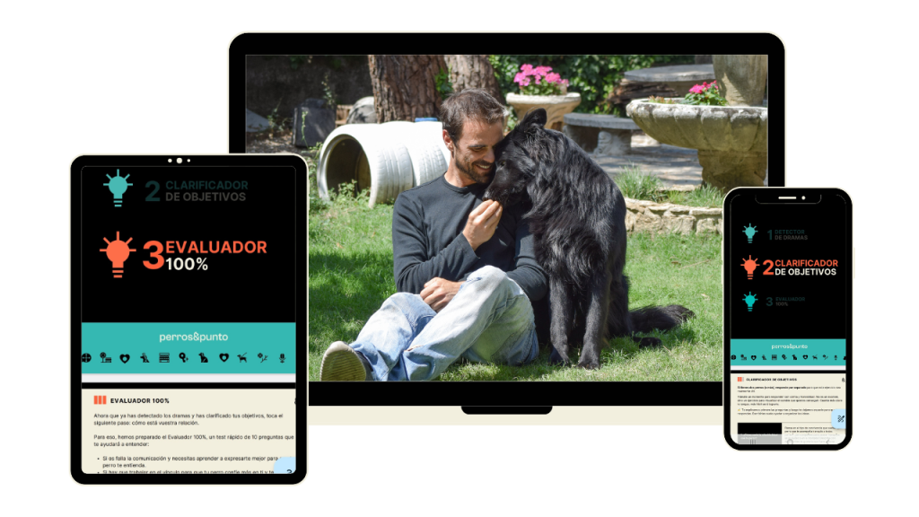 Perros&punto en tus dispositivos