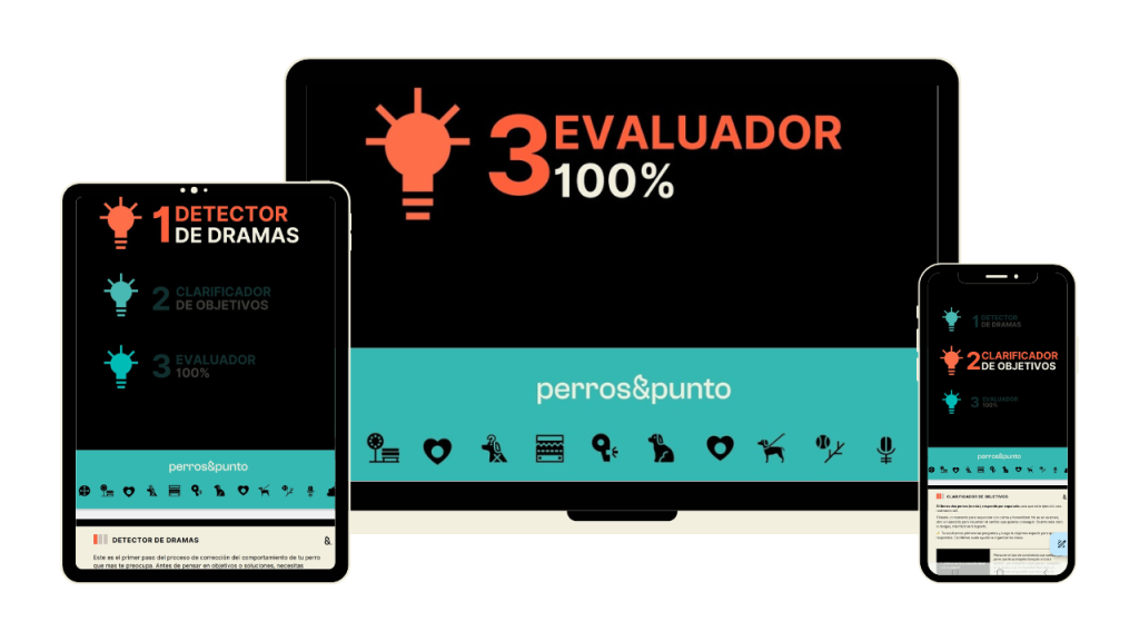 Evaluador del 100%