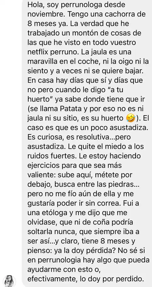 Mensaje sobre Patata, una cachorra asustadiza: una etóloga le dijo que nunca podría soltarla y aun así ya ha superado el miedo a los ruidos fuertes